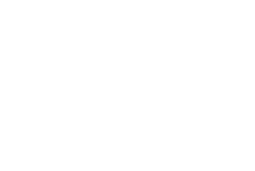 Foróige Logo