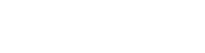 Lisa Richards Agency Logo